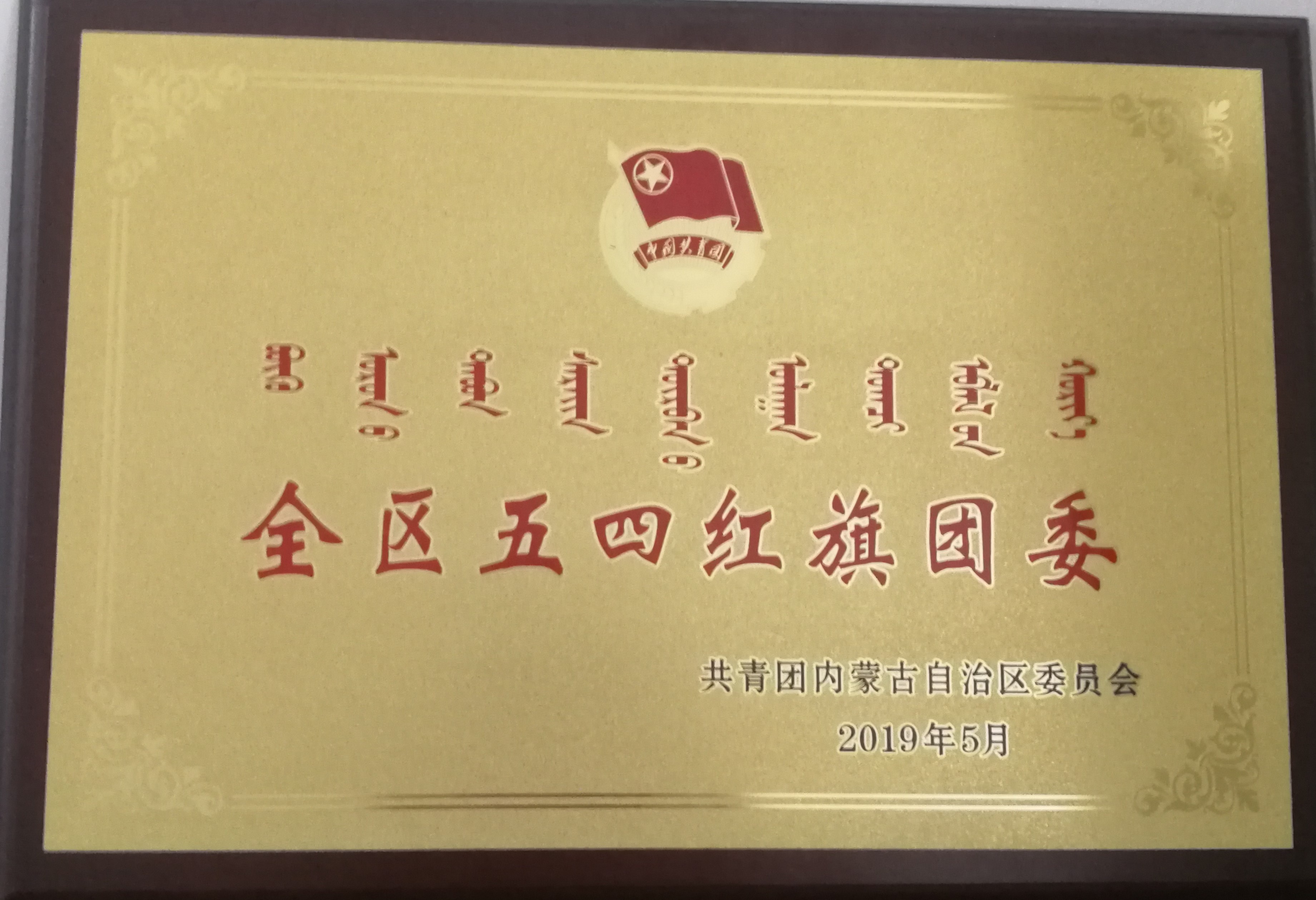 学院团委荣获“五四红旗团委“荣誉称号.jpg