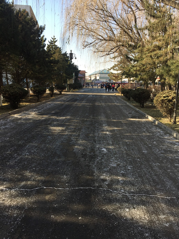 清除积雪后的校园.jpg