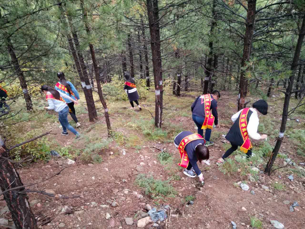 呼职院师范学院和计算机信息学院的青年志愿者在大青山登山健身步道拾捡垃圾.jpg