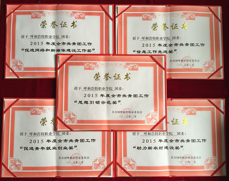呼和浩特职业学院团委荣获2015年度全市共青团工作“思想引领示范奖”等5个单项奖.jpg