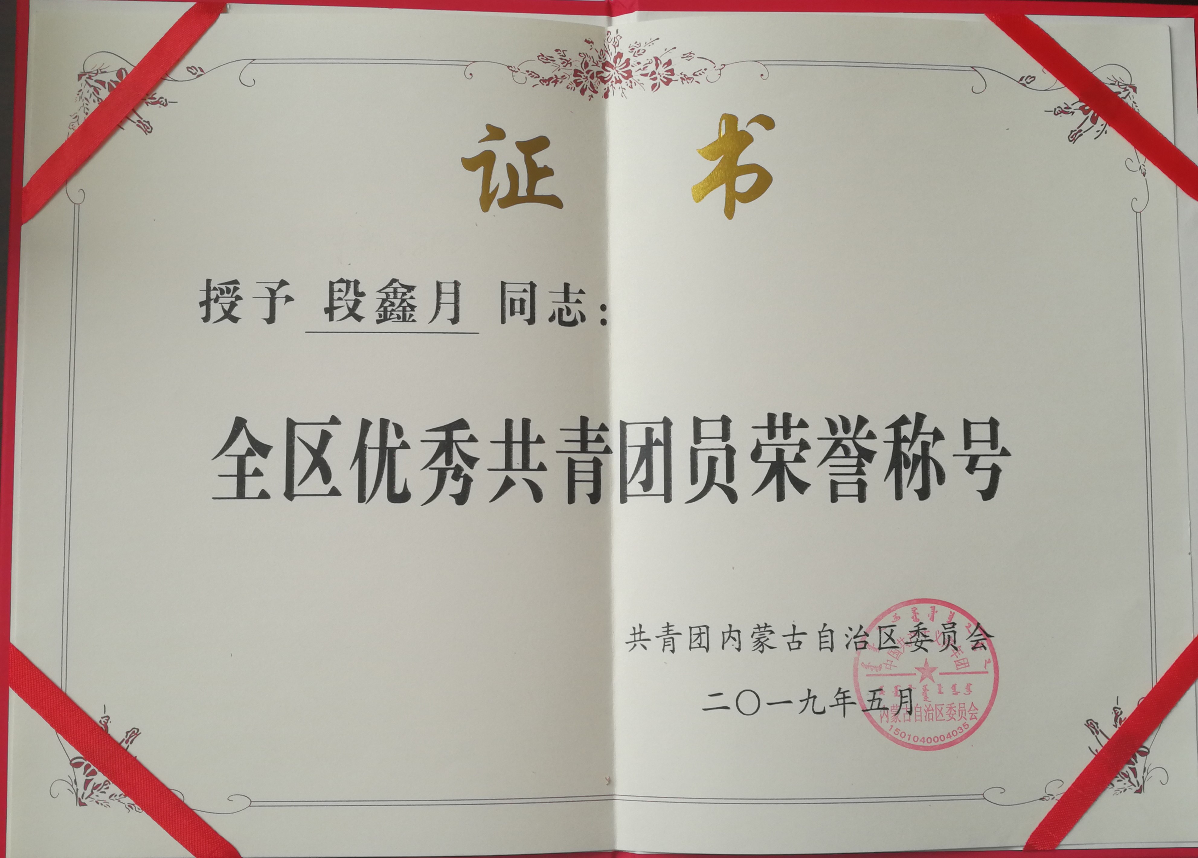 全区优秀团员.jpg