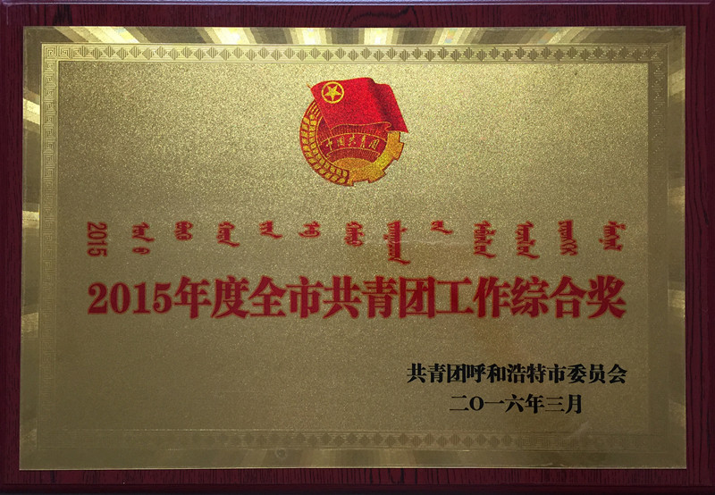 呼和浩特职业学院团委荣获“2015年度全市共青团工作综合奖”.jpg