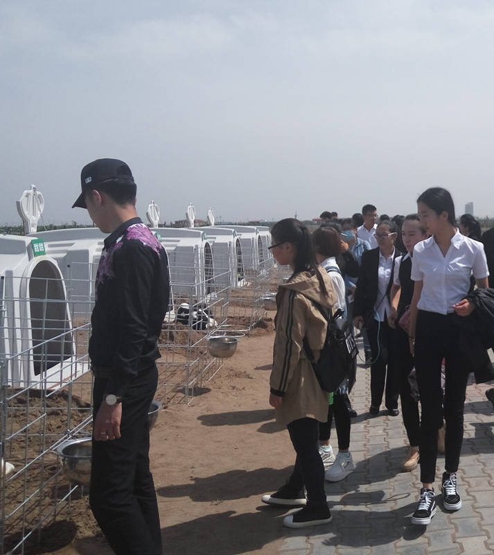 呼和浩特职业学院第六期“青马班”学员参观伊利牧场.jpg