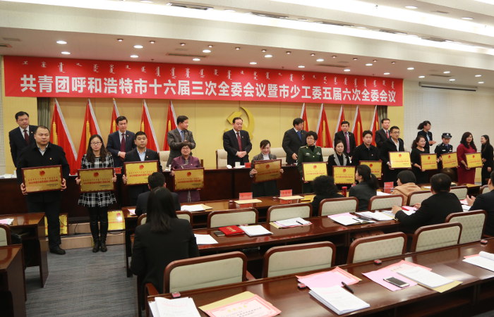 学院团委副书记张婧代表学院领取“2015年度全市共青团工作综合奖”等6个奖项.JPG