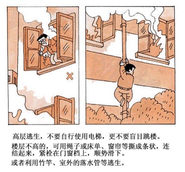 201648162753270.jpg