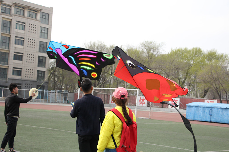 呼和浩特职业学院首届风筝节大赛：准备放飞.jpg