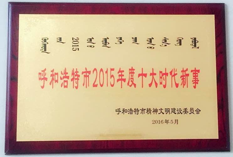 呼和浩特职业学院共青团“用五彩画笔助力‘十个全覆盖’工程”被评为“呼和浩特市2015年度十大时代新事”.jpg